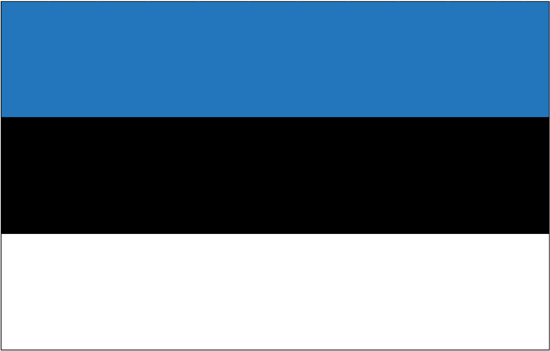 Estonia-3' x 5' Indoor Flag-0