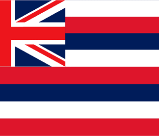 Hawaii Flag-4" x 6" Desk Flag-0