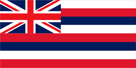 Hawaii Flag-4" x 6" Desk Flag-0