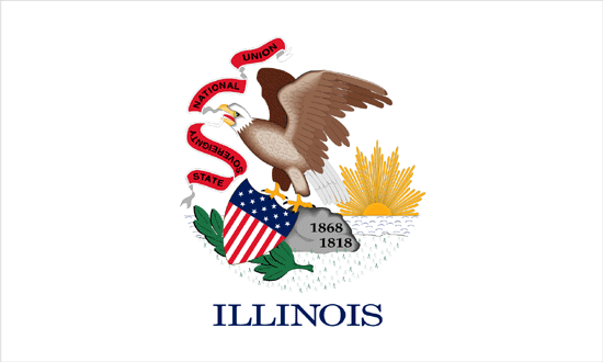 Illinois Flag-3' x 5' Indoor Flag-0