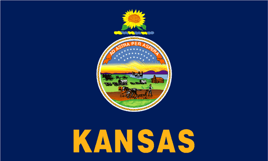 Kansas Flag-3' x 5' Indoor Flag-0
