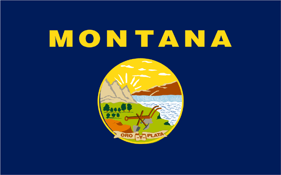 Montana Flag-3' x 5' Indoor Flag-0
