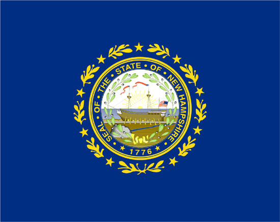New Hampshire Flag-3' x 5' Outdoor Nylon-0