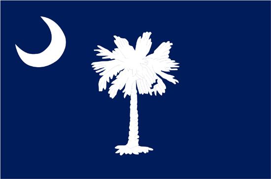 South Carolina Flag-4" x 6" Desk Flag-0