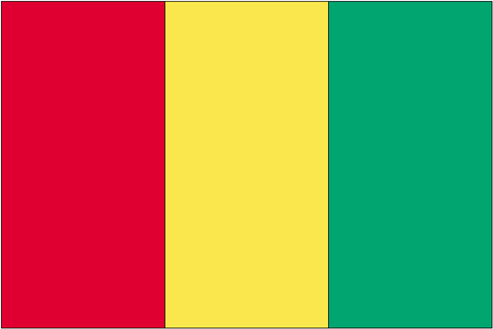 Guinea Flag-3' x 5' Indoor Flag-0