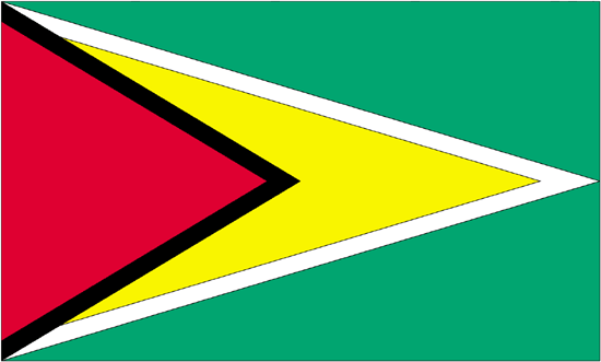 Guyana Flag-3' x 5' Indoor Flag-0