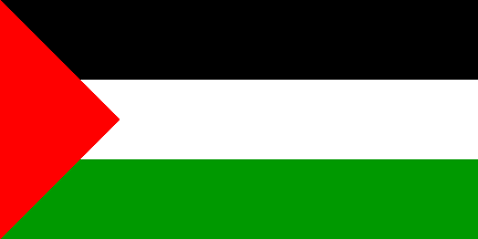 Palestine Flag-3' x 5' Outdoor Nylon-0
