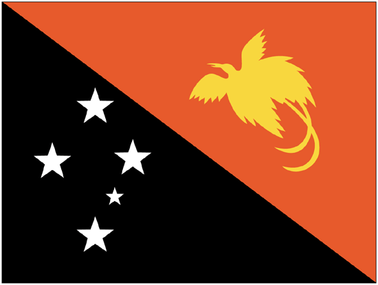 Papau-New Guinea Flag-4" x 6" Desk Flag-0