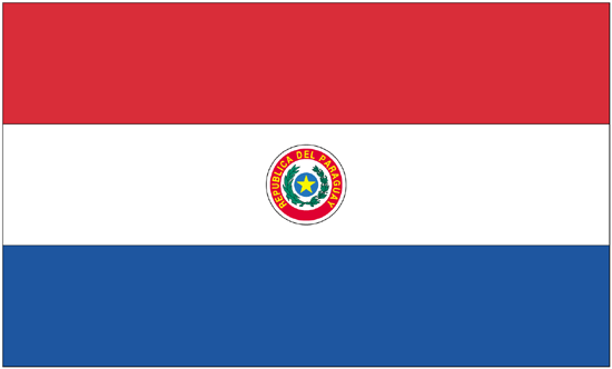 Paraguay Flag-3' x 5' Indoor Flag-0