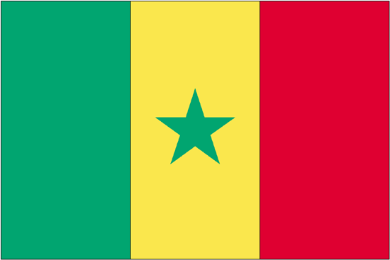 Senegal Flag-3' x 5' Outdoor Nylon-0