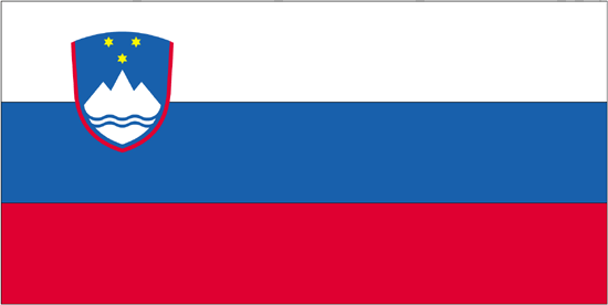 Slovenia Flag-3' x 5' Indoor Flag-0