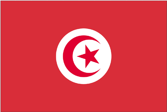 Tunisia Flag-3' x 5' Outdoor Nylon-0