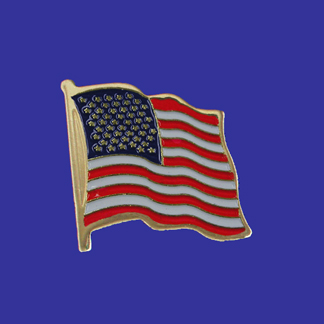 United States Lapel Pin-0