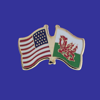 USA+Wales Friendship Pin-0