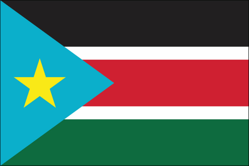 South Sudan Flag-3' x 5' Indoor Flag-0