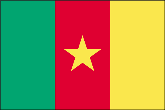 Cameroon Flag-3' x 5' Outdoor Nylon-0